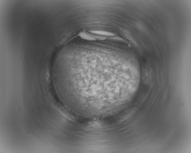 X0000068850259200605191959