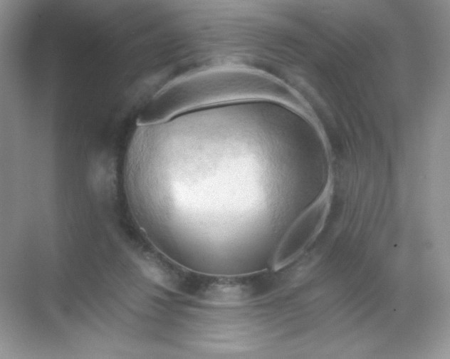 X0000068850260200605191959