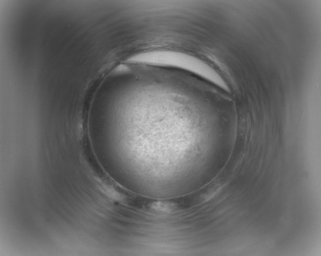 X0000068850261200605191959