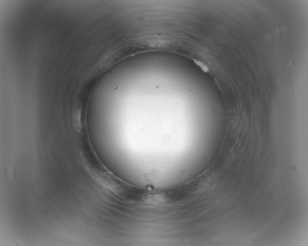 X0000068850262200605191959