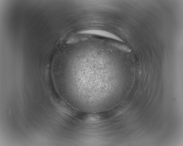 X0000068850263200605191959