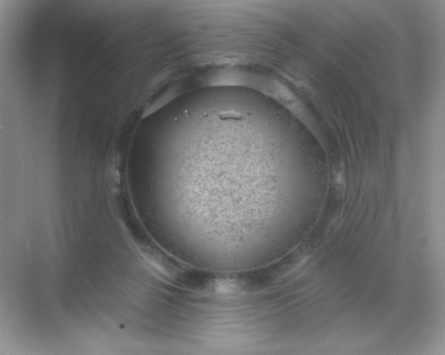 X0000068850264200605191959