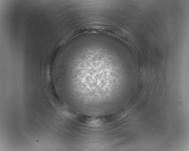 X0000068850267200605191959