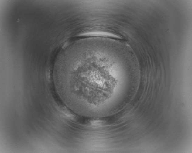 X0000068850268200605191959