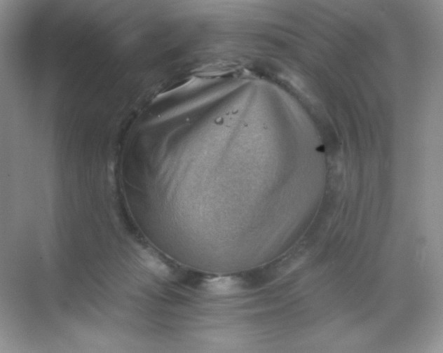 X0000068850269200605191959