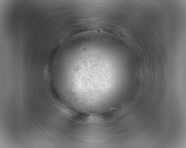 X0000068850270200605191959