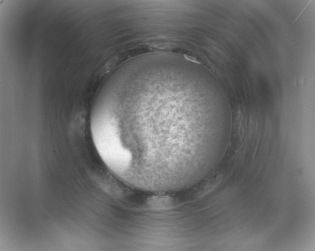 X0000068850271200605191959