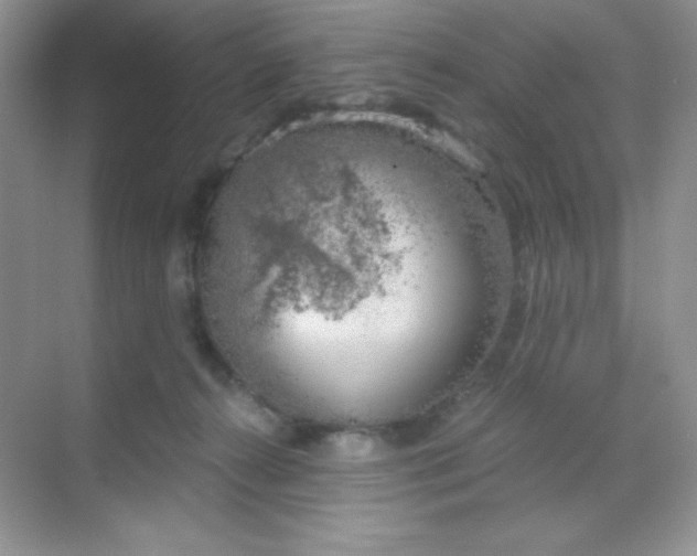 X0000068850272200605191959