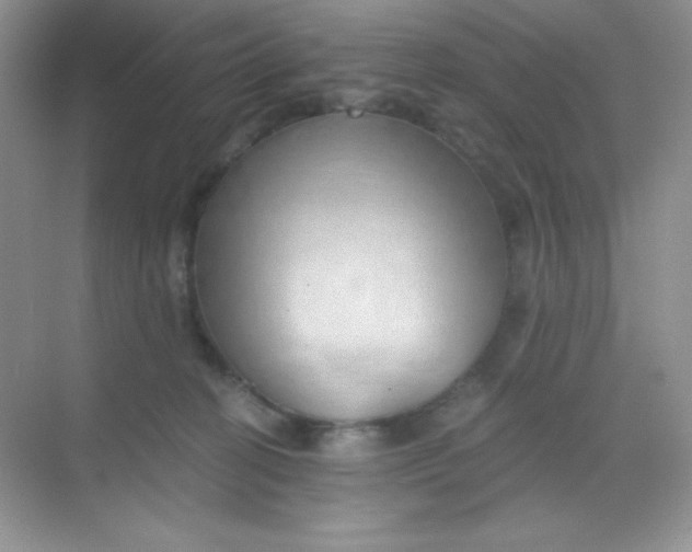 X0000068850274200605191959