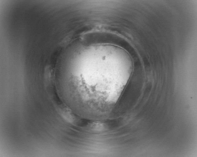 X0000068850276200605191959