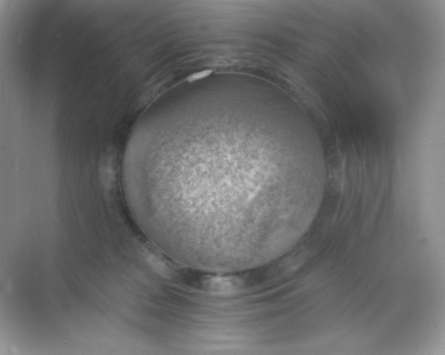 X0000068850277200605191959