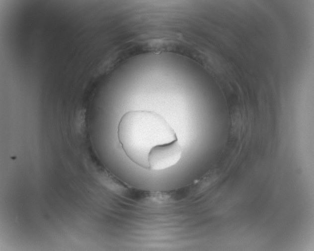 X0000068850278200605191959