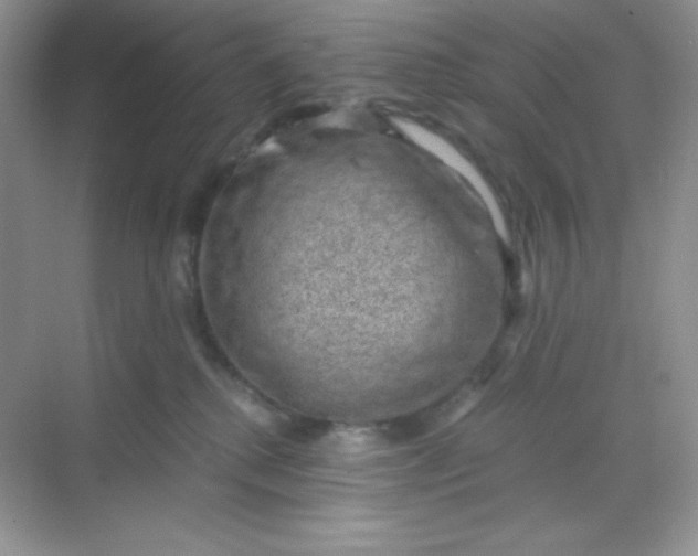 X0000068850280200605191959