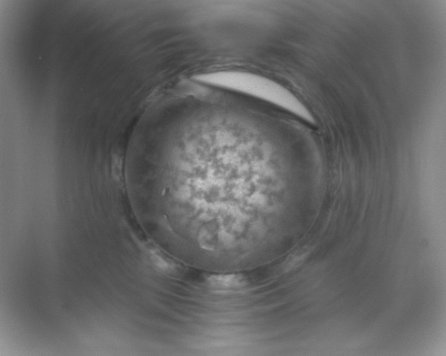 X0000068850281200605191959