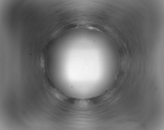 X0000068850282200605191959