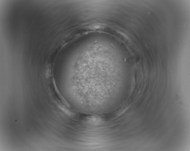 X0000068850284200605191959