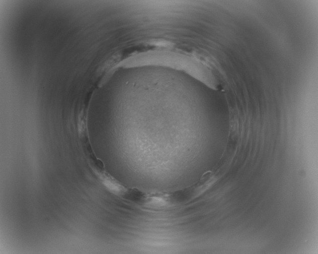 X0000068850285200605191959