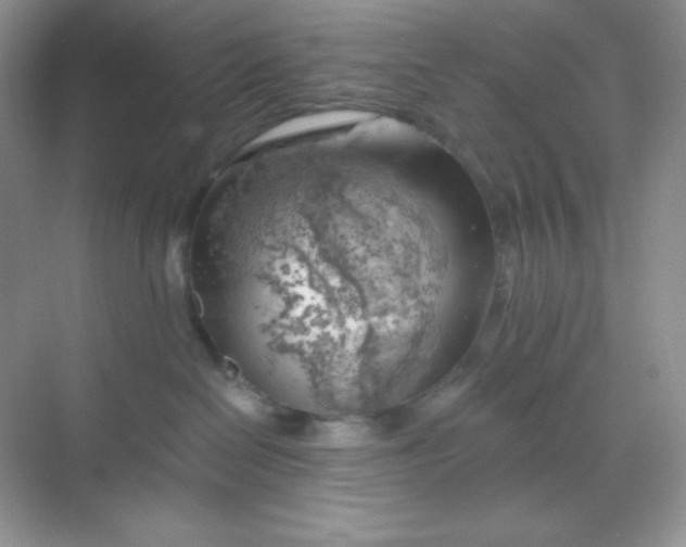 X0000068850286200605191959