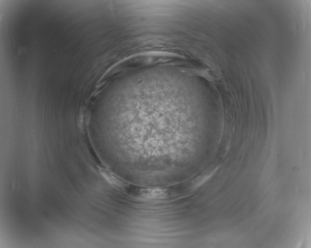 X0000068850288200605191959