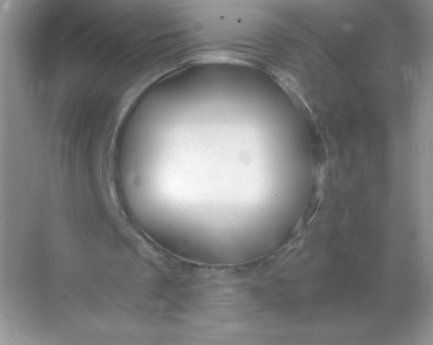 X0000068850289200605191958