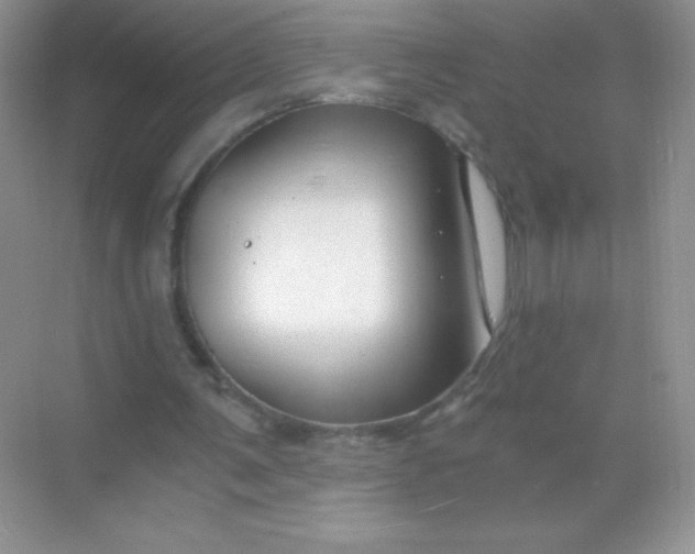 X0000068850291200605191958