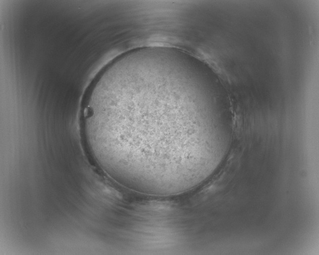 X0000068850292200605191958