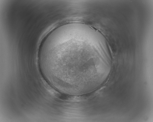 X0000068850293200605191958