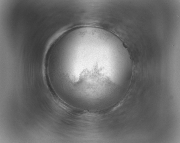 X0000068850294200605191958