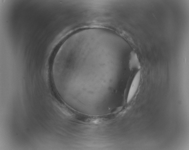 X0000068850295200605191958