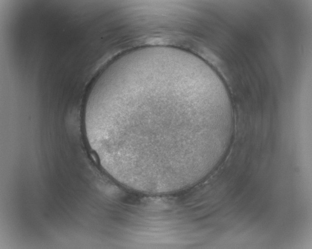 X0000068850297200605191958