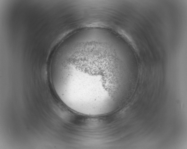 X0000068850298200605191958