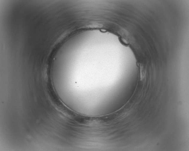 X0000068850300200605191958