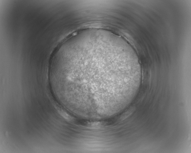 X0000068850301200605191958