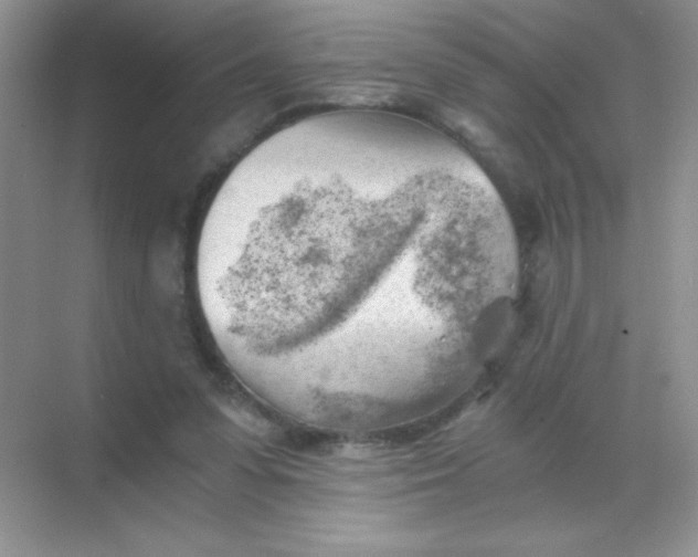 X0000068850303200605191958