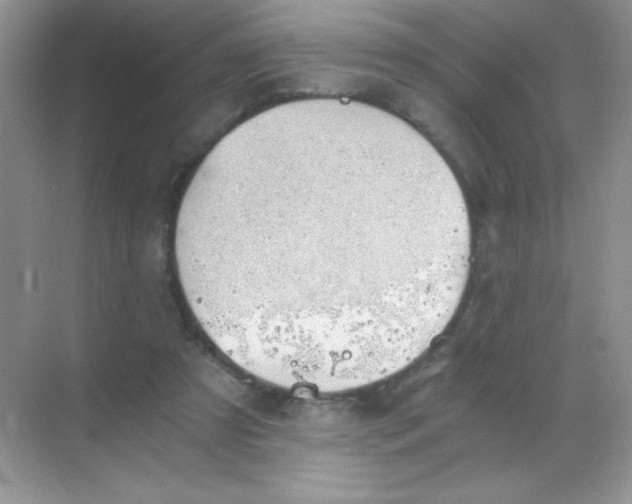 X0000068850305200605191958