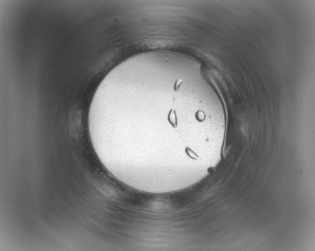 X0000068850308200605191958