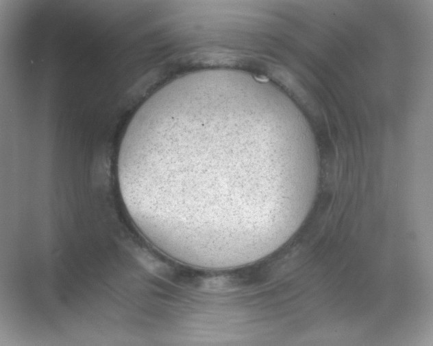 X0000068850309200605191958