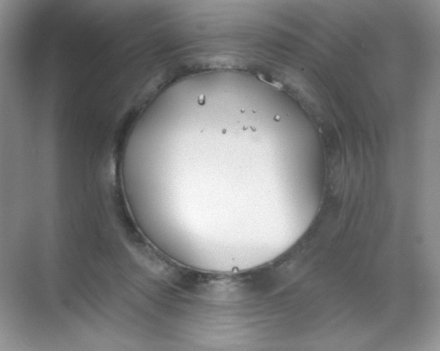 X0000068850310200605191958