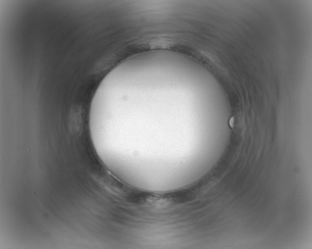 X0000068850311200605191958