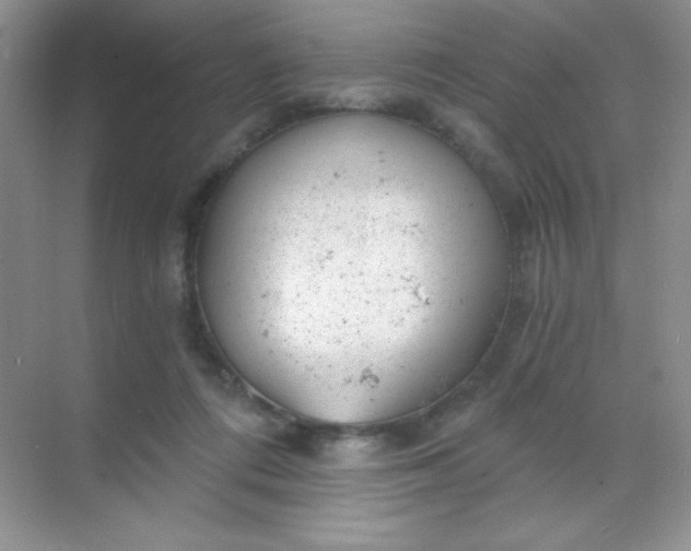 X0000068850312200605191958