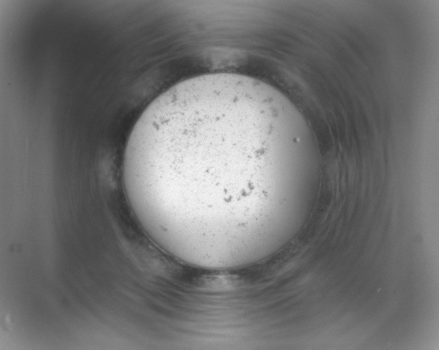 X0000068850316200605191958