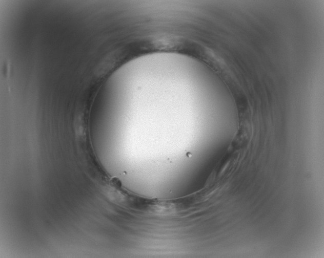 X0000068850317200605191958