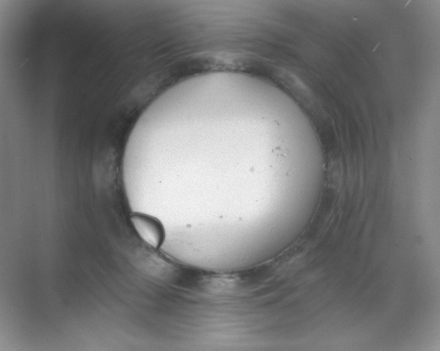 X0000068850318200605191958