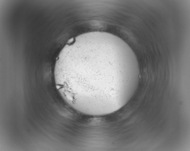 X0000068850320200605191958