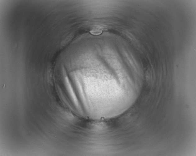 X0000068850322200605191958