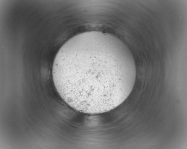 X0000068850324200605191958