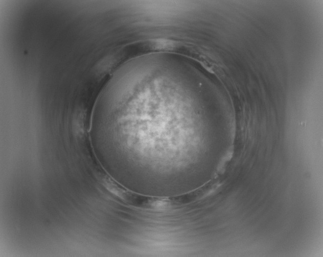 X0000068850325200605191958