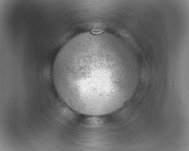 X0000068850326200605191958