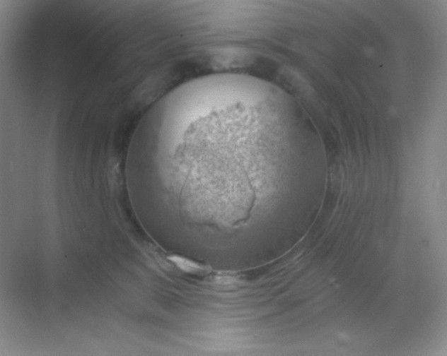 X0000068850327200605191958