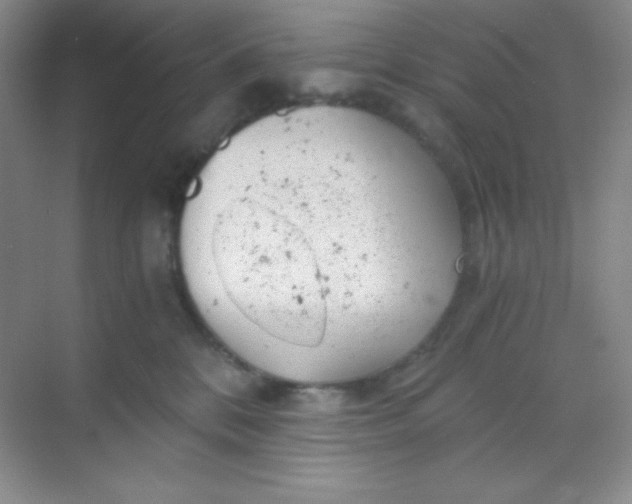 X0000068850328200605191958